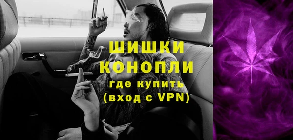 гидра Горнозаводск