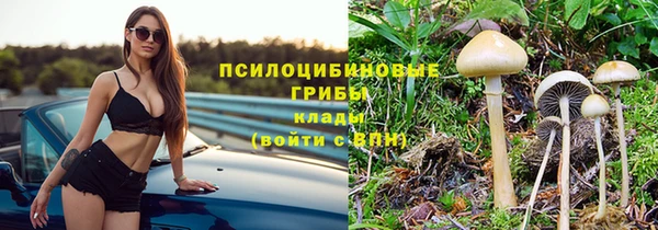 экстази Вяземский