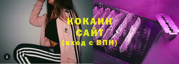 гидра Горнозаводск