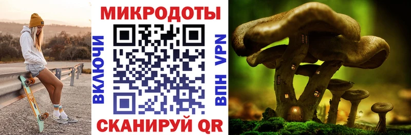 Галлюциногенные грибы Magic Shrooms  Гусиноозёрск 